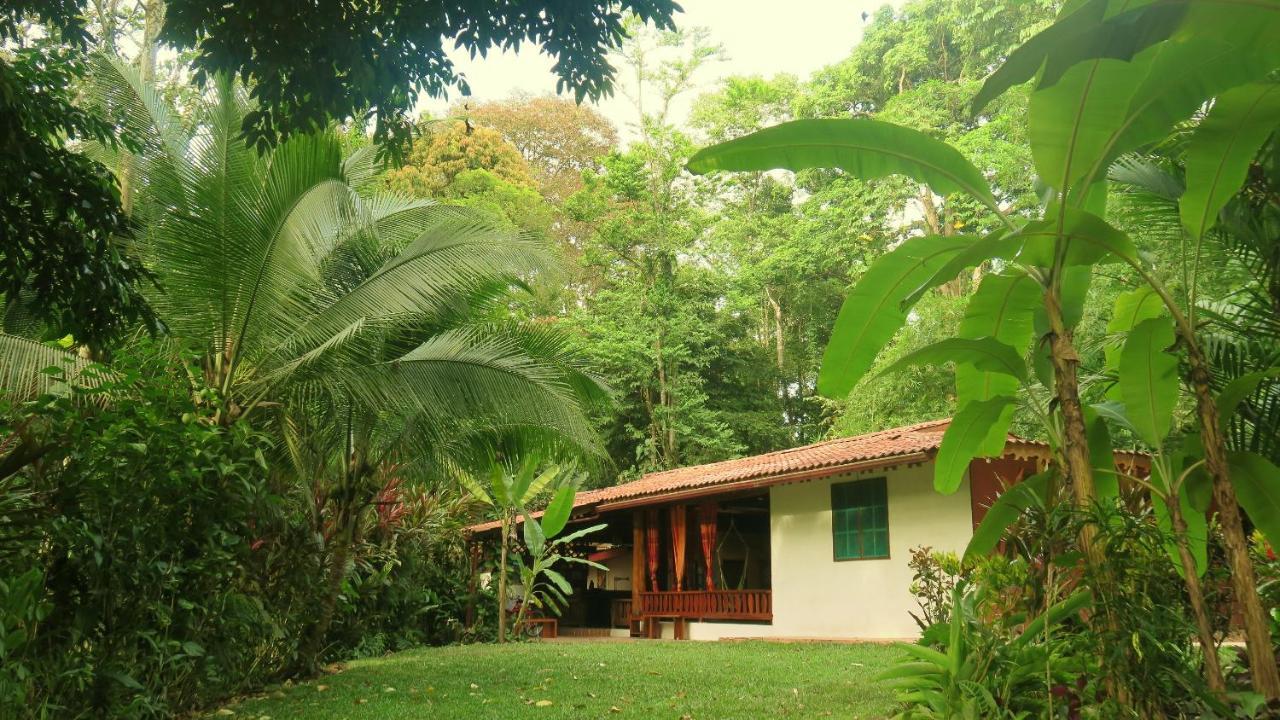 Bed and Breakfast Casa Moabi Cocles Zewnętrze zdjęcie
